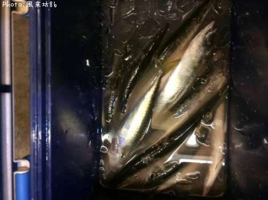 ���ޥ�������