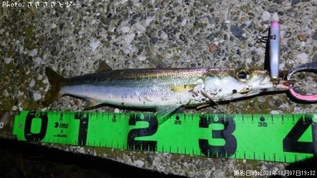 ���ޥ���������Х�