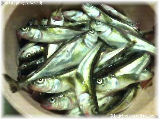 ���ߥʥꥦ��