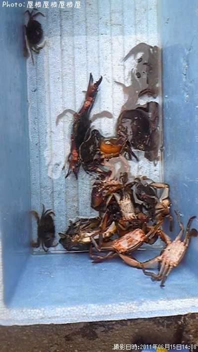 ���ˤ����