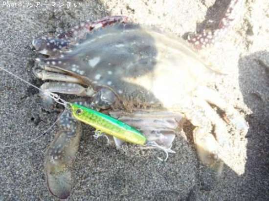 ���ˡ�Ʊ��������ɤ��