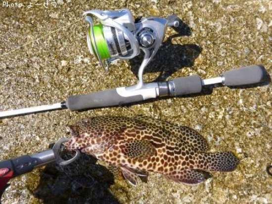 ������ϥ�