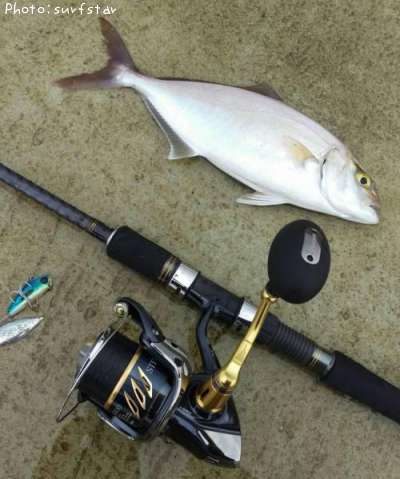 ����ѥ��ܥ��ʥ�