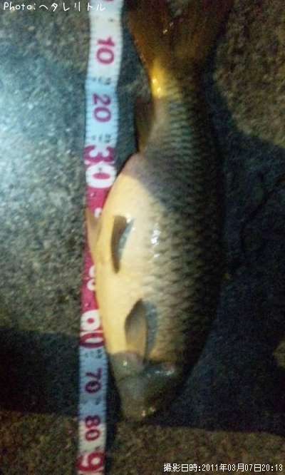 �񡡥�����