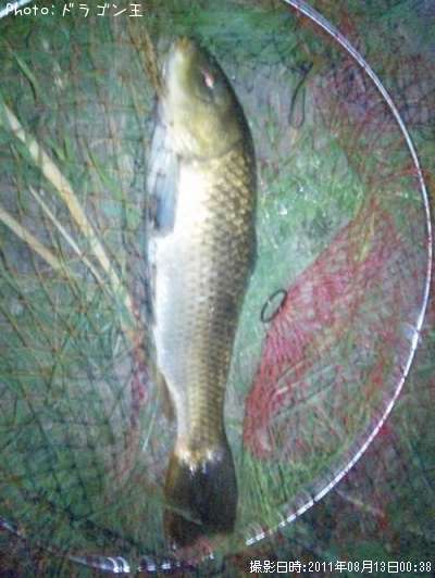 �񡡥�����