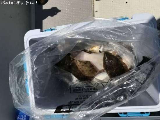 ���줤�������ʤ�