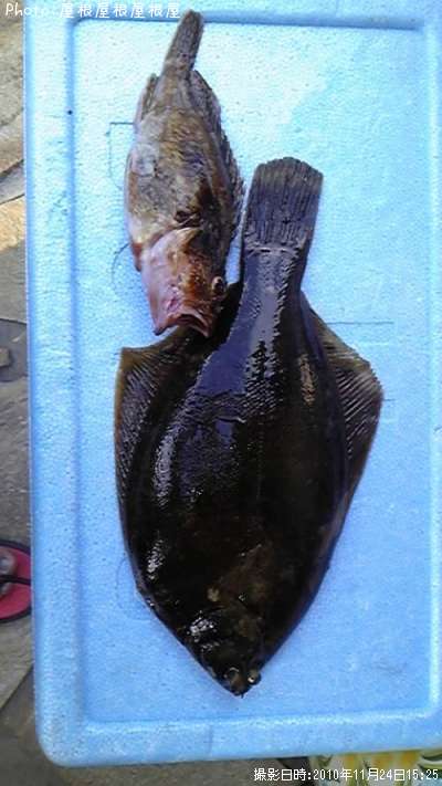 ���쥤�ʾС˥�����