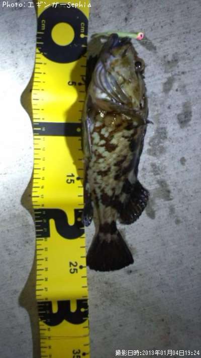 ���������ʥ������