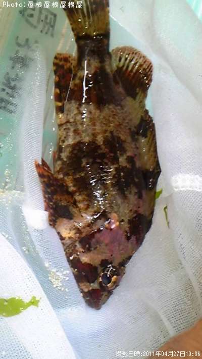 �������������