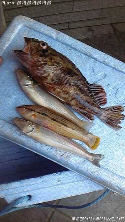 ���������������٥�����