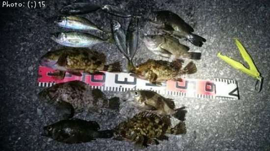 ����������������Х롢����