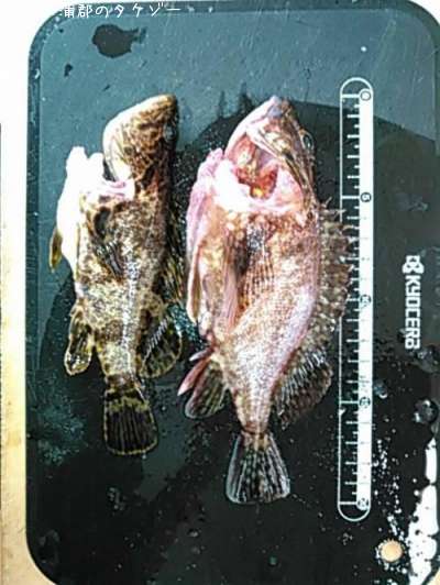 �������������Υ�