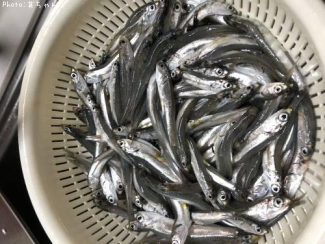 �����������亮