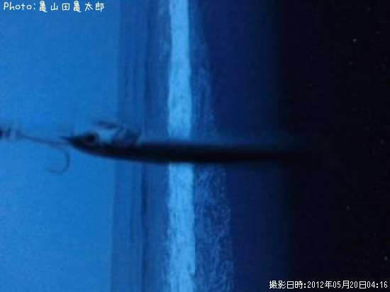 �����������亮