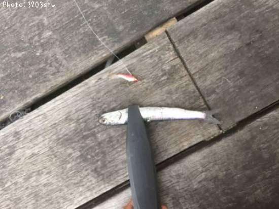 �����������亮