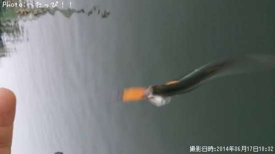 �����������亮