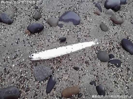 �����������亮