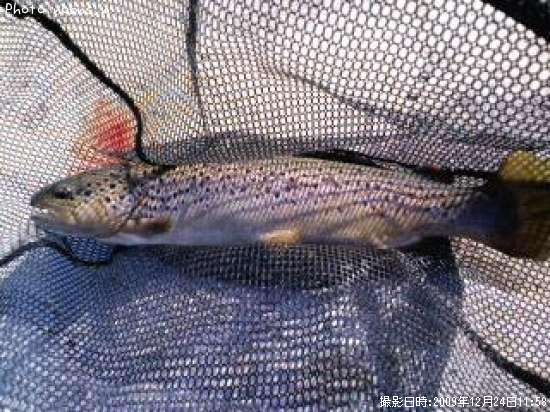 ���åȥ�������