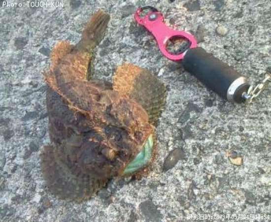 ���ॷ������