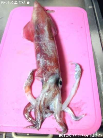 ���󥵥�����