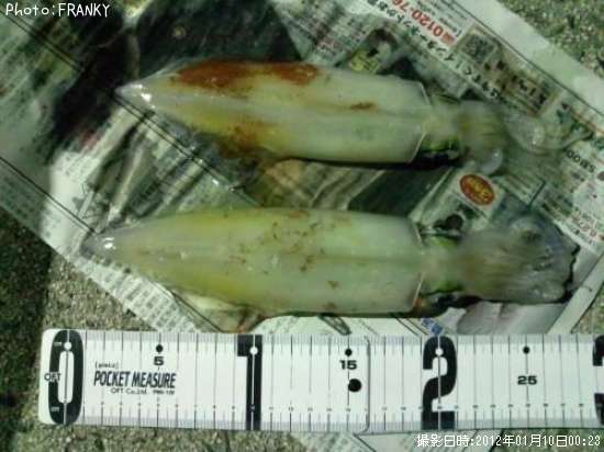 ���󥵥�����