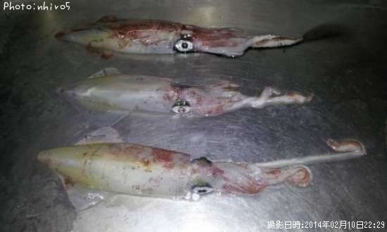 ���󥵥�����