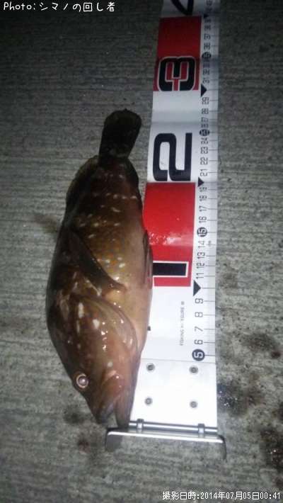 �����ϥ�