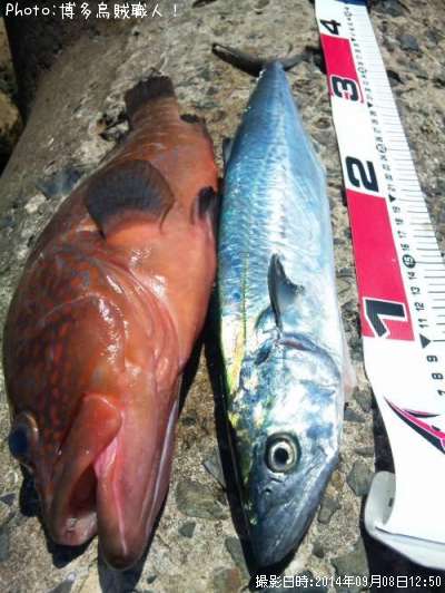 �����ϥ�