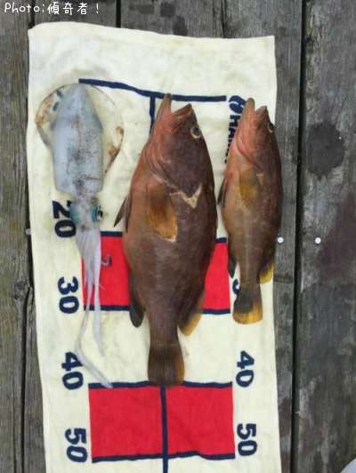 �����ϥ��ʥ�������