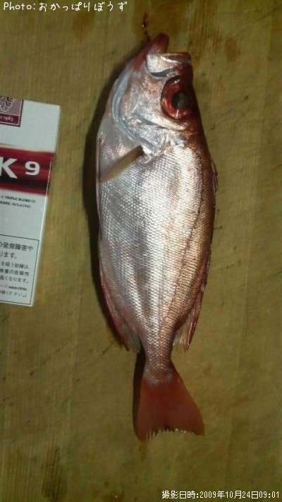 ����ȥ�����