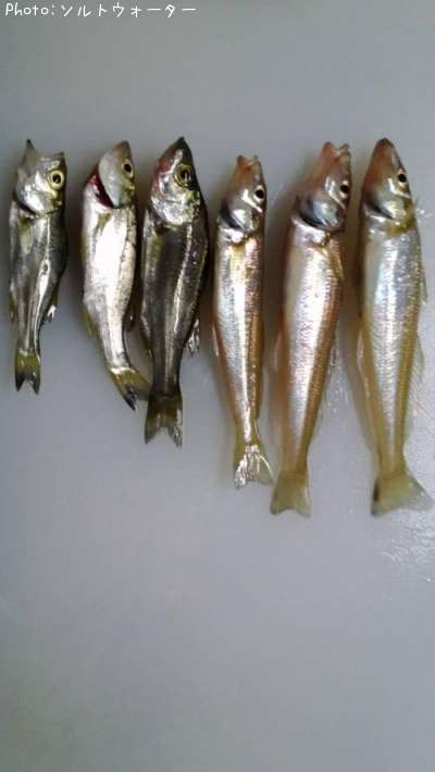 �����������Х�