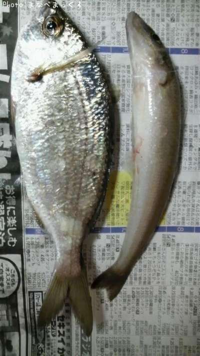 �������إ�����