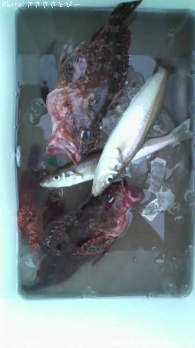 ������������