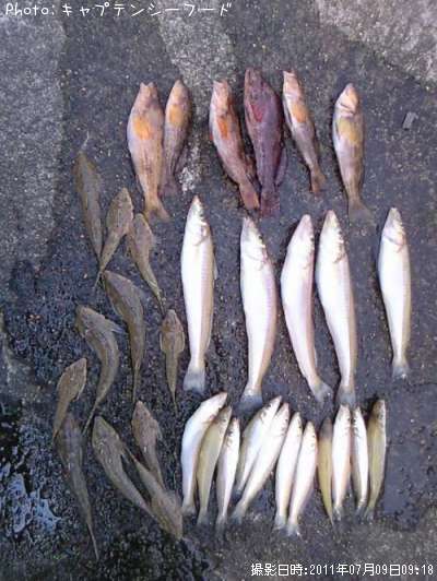 �����������������ʥ�