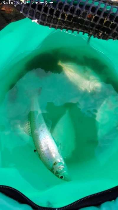 �����ȥ����