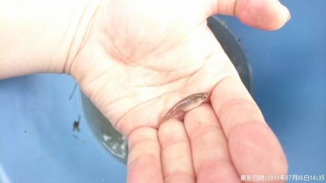 �����Υ����