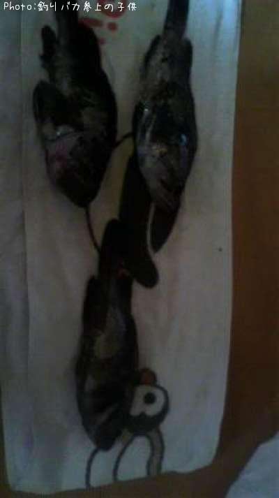 ���ĥͥ�Х�