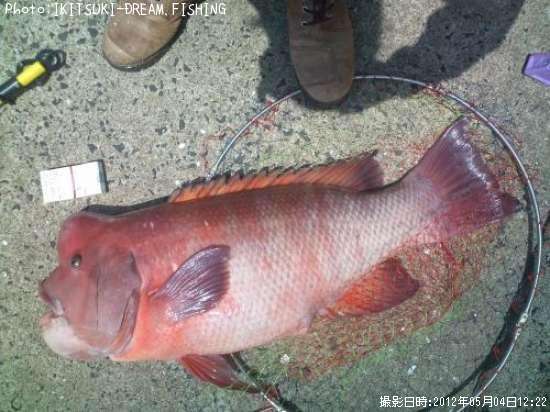 ���֥���