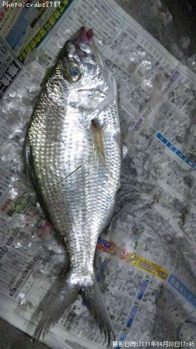 �����ա�