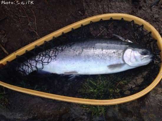 �����ۡ��������