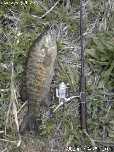 �������Х�