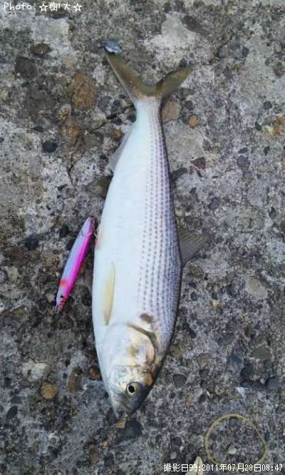 ���Υ���