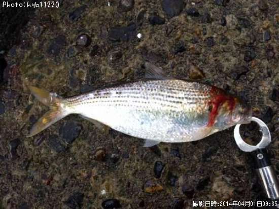 ���Υ���