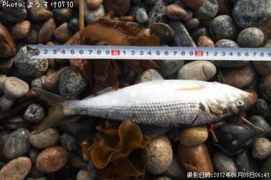 ���Υ���