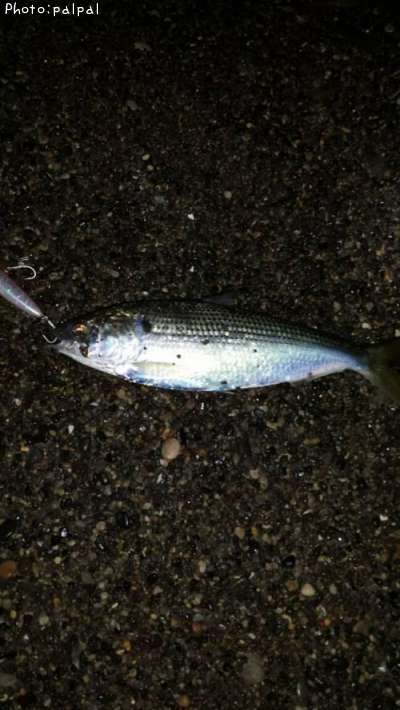 ���Υ���