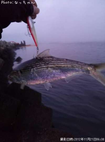 ���Υ���