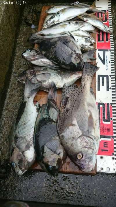 �����祦�������᥸�ʡ�����