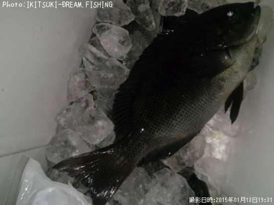 �����֥ȥ���