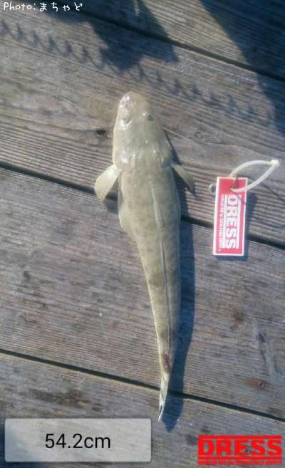 �����̥��̡ڥߥʥߥޥ�����