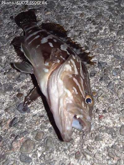 �������ĵ�